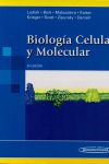 Biología celular y molecular 